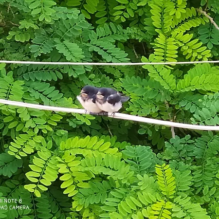 公寓 Maison Masse - Historic With Private Courtyard (adults Only) *